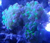 20130109_204139.jpg