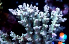IMG_9169.jpg