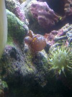 Mount Vernon-20120315-00567.jpg