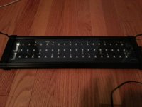 20120712_073438.jpg