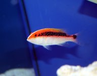 IMG_9247.jpg