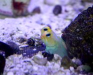 IMG_9284.jpg