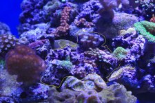 IMG_8253.jpg