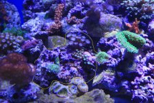 IMG_8256.jpg