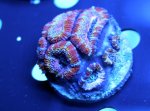 IMG_6986.jpg
