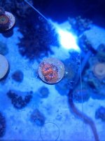 IMG_0220.jpg