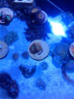 IMG_0221.jpg