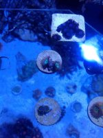 IMG_0223.jpg