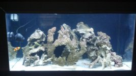 2012-04-22_15-37-02_194.jpg