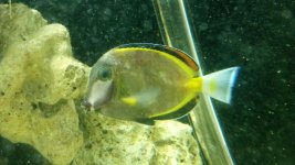 2012-04-22_16-42-23_794.jpg