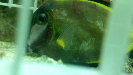 2012-04-22_16-50-34_121.jpg