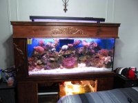 IMG_0036 (2).jpg