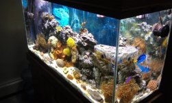IMAG0225.jpg