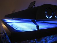 IMG_9526.jpg