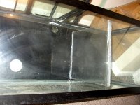 70 gallon 2 .jpg