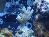 DSC02276.JPG