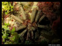 Crocker Channel Oct 7 2006 066 final small.jpg