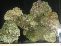rock new 009 small.jpg