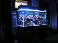 DSCN1173.JPG