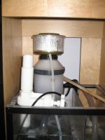 skimmer 001 small.jpg