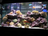 DSCN0838_1.jpg