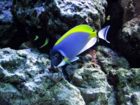 IMG_0033.JPG