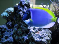 IMG_0036.JPG