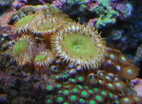 2007-03-05_17-44-14.jpg