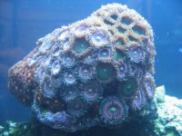 October 1 047 small.jpg