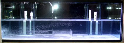 tank fill 9 pm .jpg