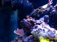 Gc9n_Picture 018.jpg