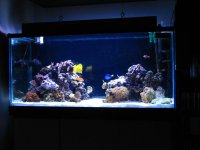 Gc9n_Picture 037.jpg