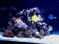 Gc9n_Picture 040.jpg