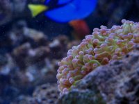Gc9n_Picture 049.jpg
