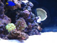 Gc9n_Picture 064.jpg