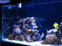 Gc9n_Picture 072.jpg