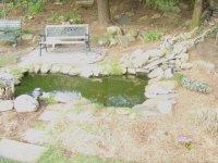 Pond1.jpg