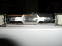PB050207 (2).JPG