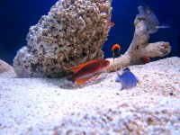 IMG_2118.JPG