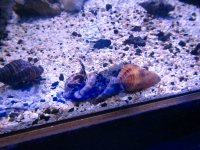 IMG_2146.JPG