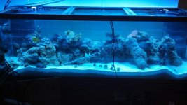 180 gallon upgrade 005.jpg