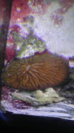 IMAG1743.jpg