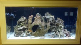 2012-04-23_18-48-42_652.jpg