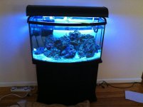 ImageUploadedByReefs1342307511.877411.jpg