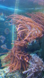 DSC00397.jpg