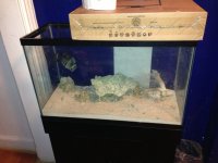 ImageUploadedByReefs1358058740.727419.jpg