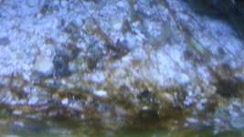 DSC04222.jpg