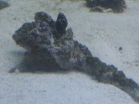 DSC00244.jpg