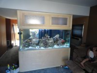 DSC00214.jpg DSC00214.jpg