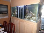 DSC00216.jpg DSC00216.jpg